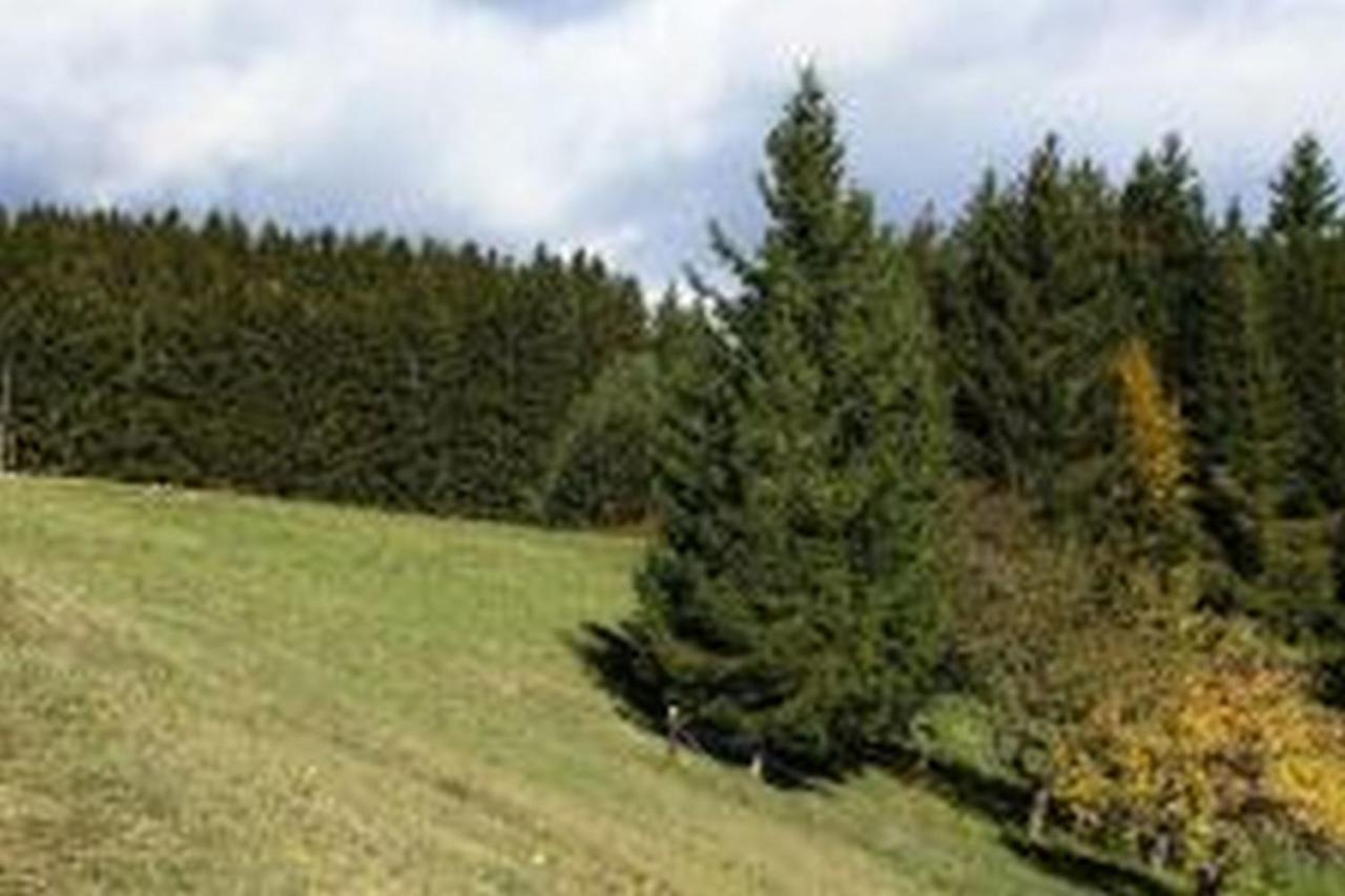 Landgasthof Hauser Immendingen Экстерьер фото
